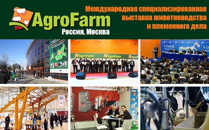 promnews104