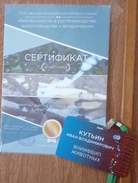 Кутьин сертификат
