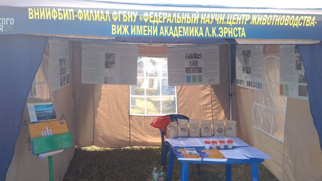день поля 19 стенд