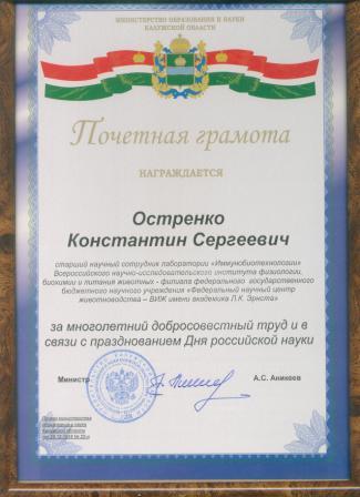 диплом остренко 001