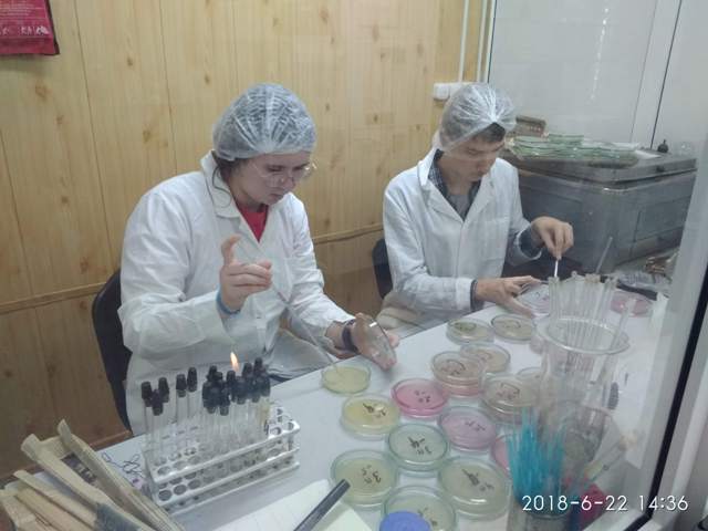 ученики