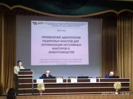 Крым 2021 Остренко